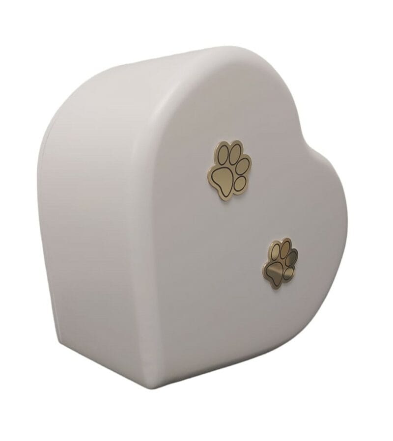 Cuore Paw - immagine 2