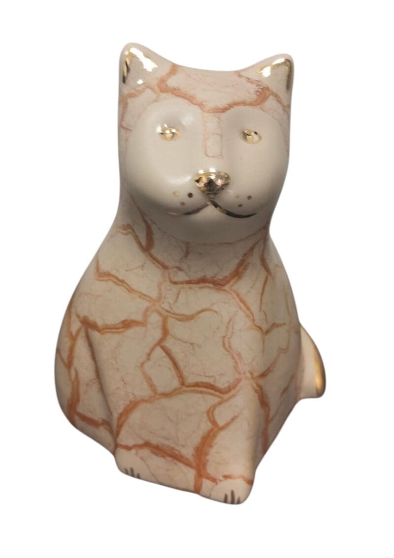 Gatto cr - immagine 4