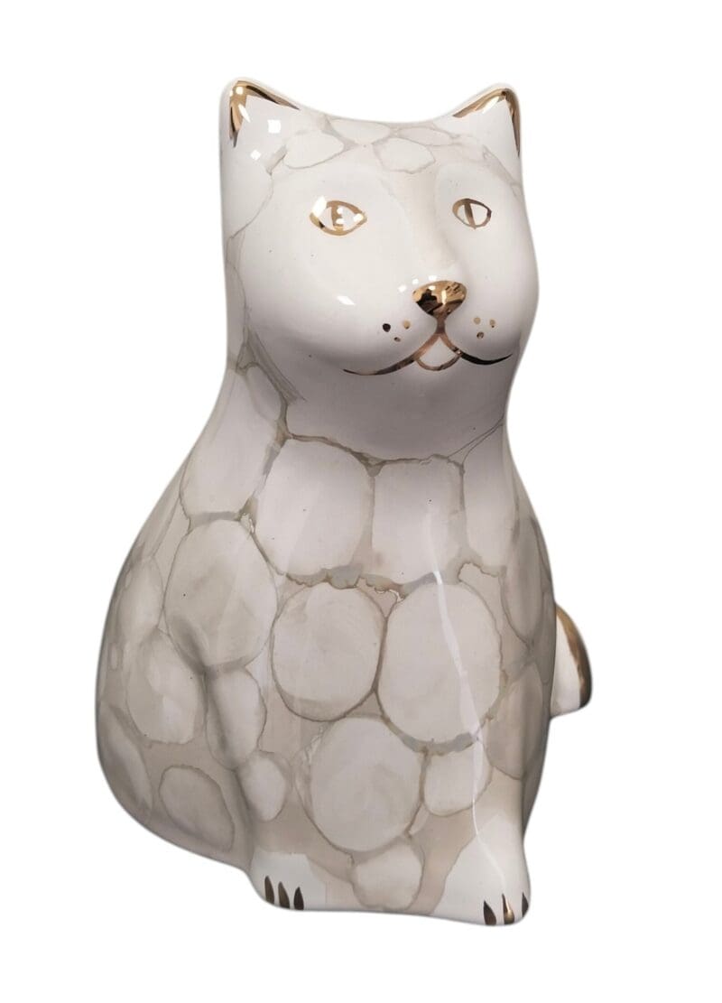 Gatto cr - immagine 5