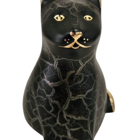 Gatto cr